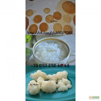 Продам индийский морской рис 20грн, чайный гриб 30-50грн, молочный гриб 50грн
