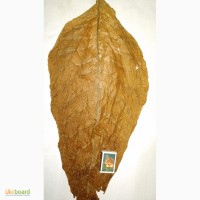 Продам табак ферментированный в листе и нарезанный, хорошего качества, Мелитополь