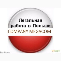 Company megacom