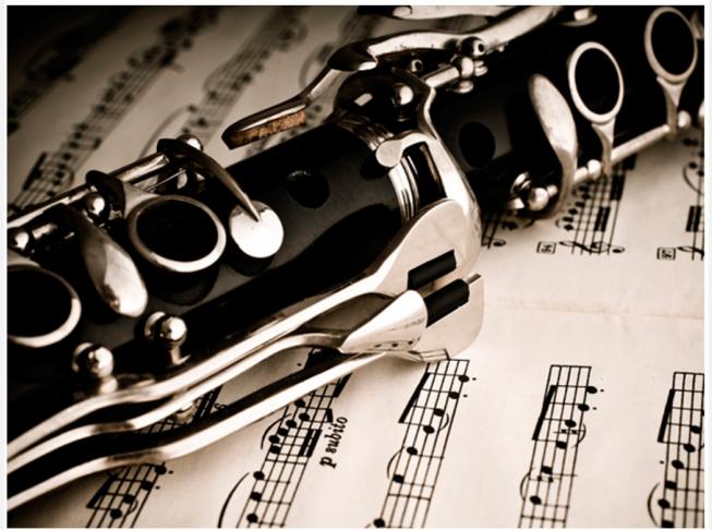 Фото 2. Уроки саксофона и кларнета для детей и взрослых! Днепр, школа творчества Imagine