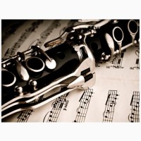 Уроки саксофона и кларнета для детей и взрослых! Днепр, школа творчества Imagine
