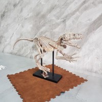 Инсталляция «Динозавр-2»