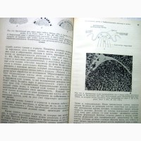 Рост растений и дифференцировка Уоринг 1984 гормоны ингибиторы регуляция цитологические