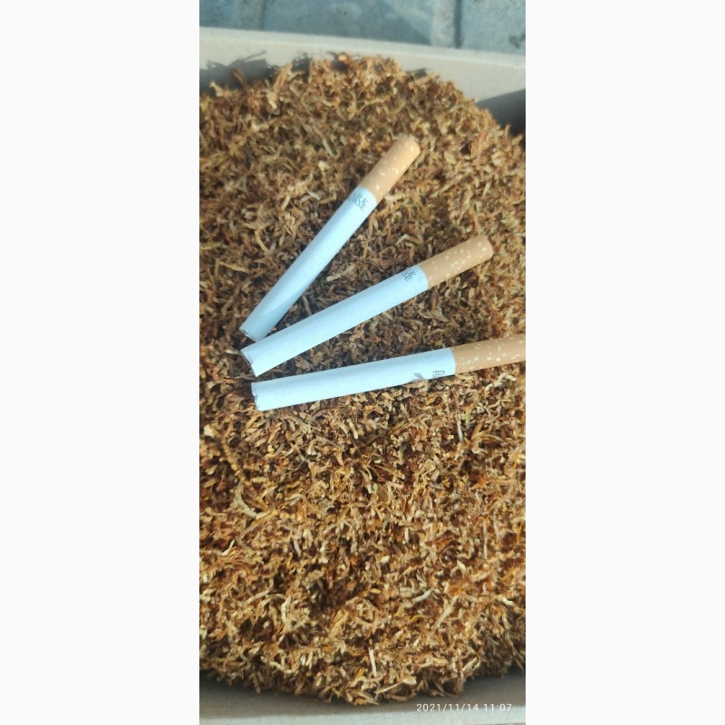 Фото 6. Импортный Табак Вирджиния высшего качества, вырощен - Южная Бразилия