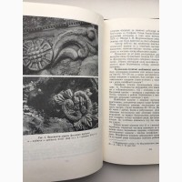 Стародавній Київ Археологія Наукова думка 1975