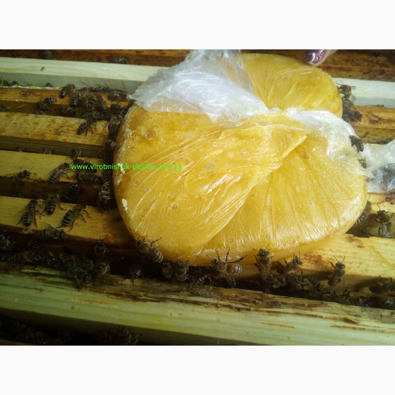 Фото 5. Канди для пчел.Паста канді для пчел. Від виробника