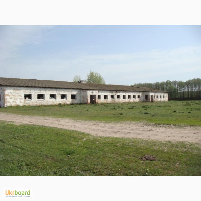 Фото 2. Продам животноводческий комплекс, Крехаев - 2400 кв.м