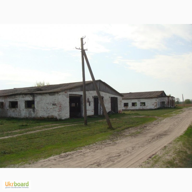 Фото 6. Продам животноводческий комплекс, Крехаев - 2400 кв.м