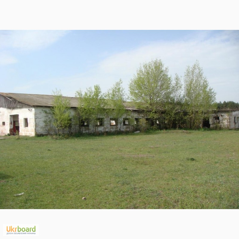 Фото 8. Продам животноводческий комплекс, Крехаев - 2400 кв.м