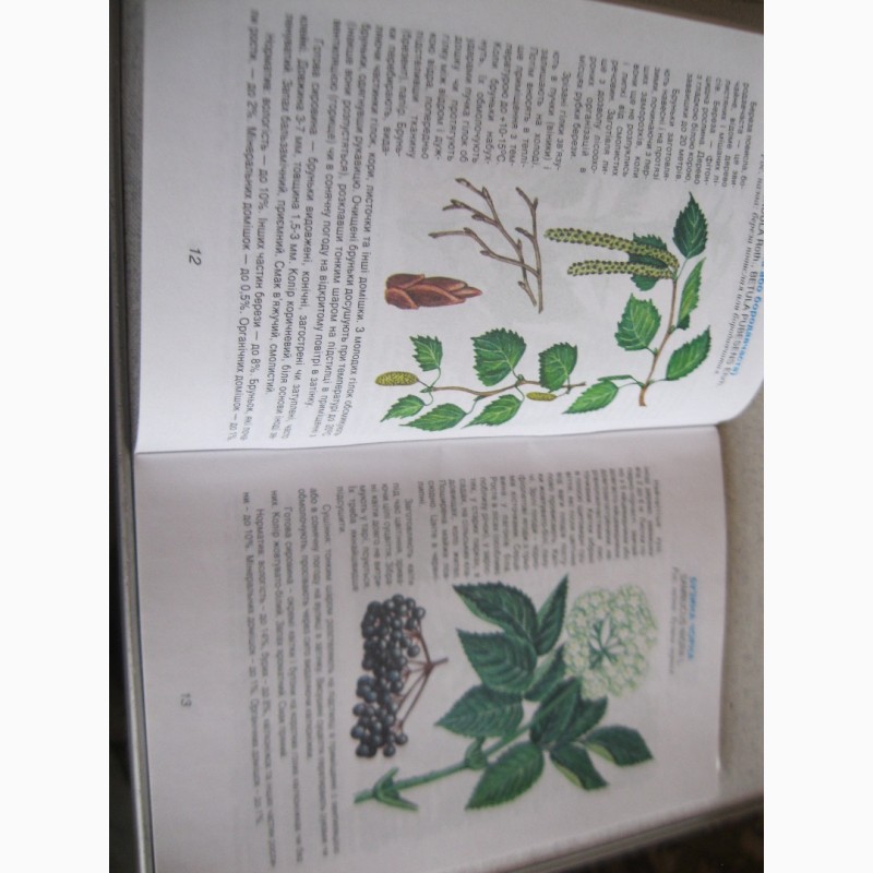 Фото 2. Лікарські рослини в науковій медицині (заготівля, застосування)