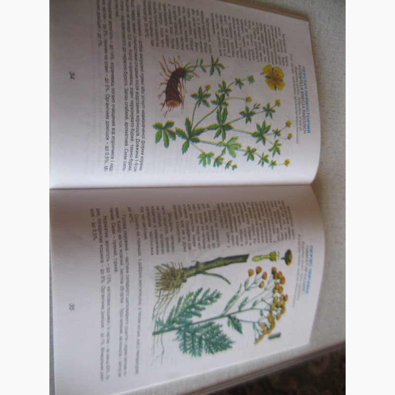 Фото 3. Лікарські рослини в науковій медицині (заготівля, застосування)