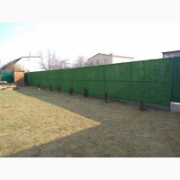 Зеленый забор, декоративный забор