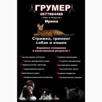 Грумер Харьков - Песочин, Стрижка собак и кошек