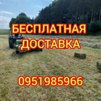 Люцерна, луговое сено с Бесплатной доставкой по Украине. Большие объёмы. Качество