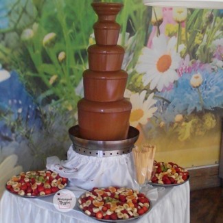 Шоколадный фонтан на праздник в Киеве
