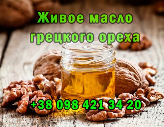 Фото 2. Продам живое масло грецкого ореха