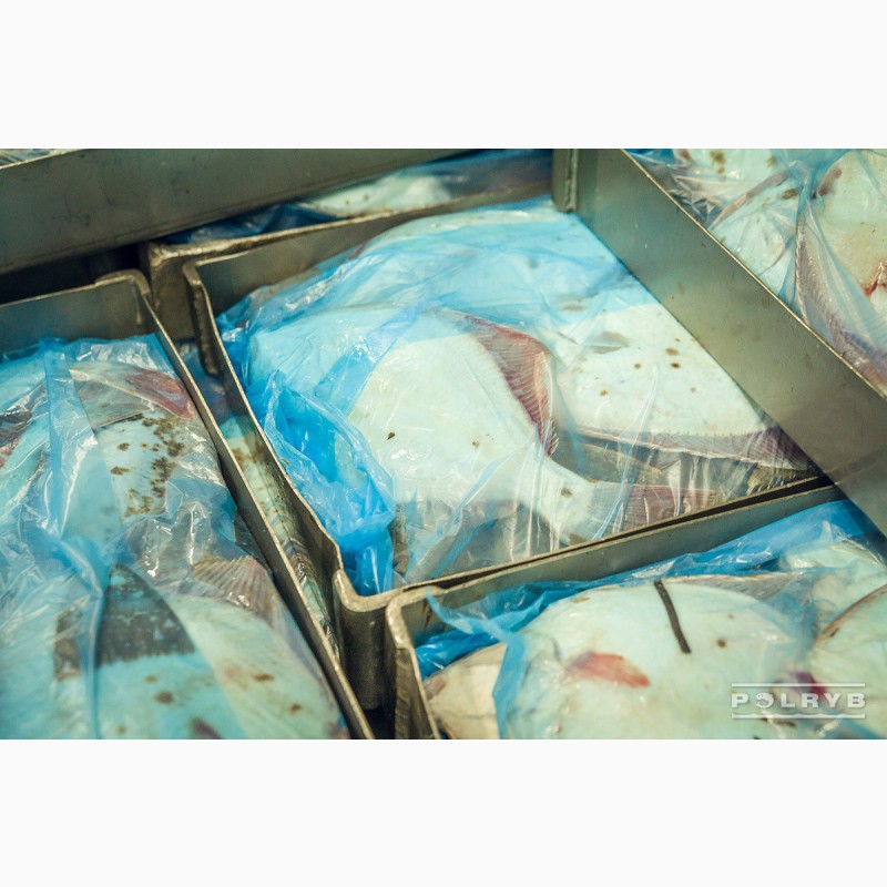 Фото 4. Продам свежемороженную морскую рыбу