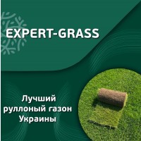Рулонний газон від компанії-виробника ЕКСПЕРТ-ГРАС