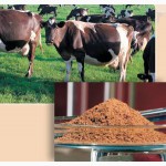 Премикс 3% Зоовит - Молочная коровка д/дойных коров универсальный уп. 25 кг