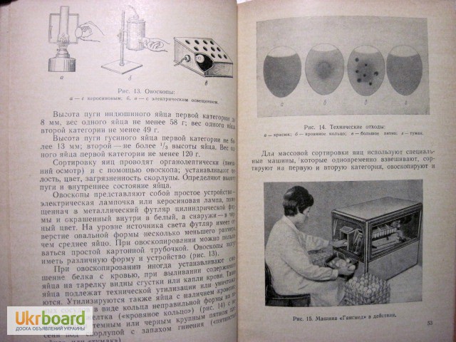 Фото 11. Технология продуктов убоя животных. Коряжнов 1967 Производство способы переработка мяса