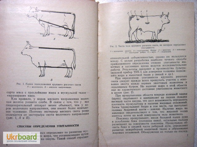 Фото 5. Технология продуктов убоя животных. Коряжнов 1967 Производство способы переработка мяса