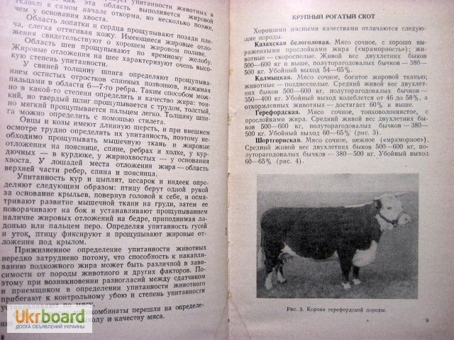 Фото 6. Технология продуктов убоя животных. Коряжнов 1967 Производство способы переработка мяса