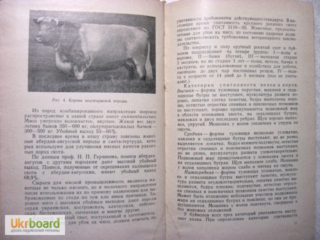 Фото 7. Технология продуктов убоя животных. Коряжнов 1967 Производство способы переработка мяса