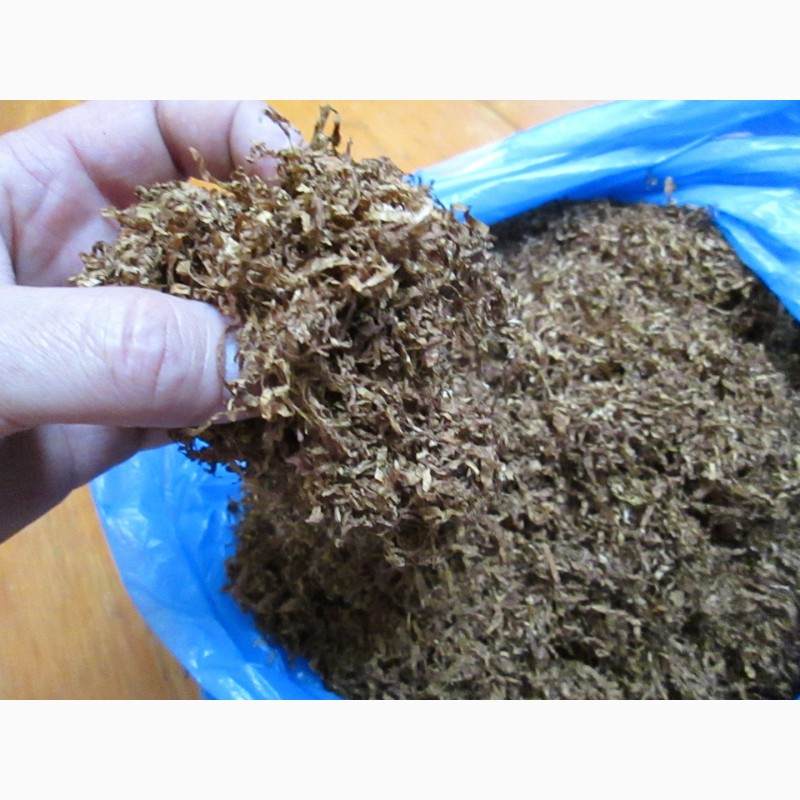 Берли табак семена фасоль крупная семена