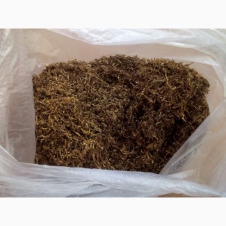 Продам натуральний ферментированый табак Мериленд