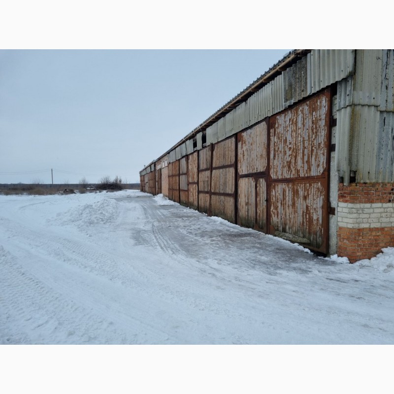 Фото 6. Земельный участок со складскими помещениями, ремонтный цех город Ахтырка