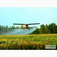 Услуги самолета - обработка кукурузы от вредителей