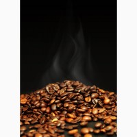 Кава в зернах Ганна, робуста 85грн. Найнижчі ціни
