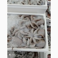 Продам морепродукты из Греции