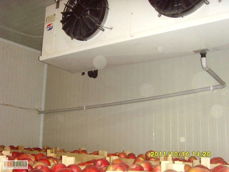 Фото 8. Холодильные камеры для овощей и фруктов.Расчет, монтаж, сервис