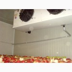 Холодильные камеры для овощей и фруктов.Расчет, монтаж, сервис