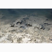Лечебная грязь Сульфидно-Муловая озера Сиваш