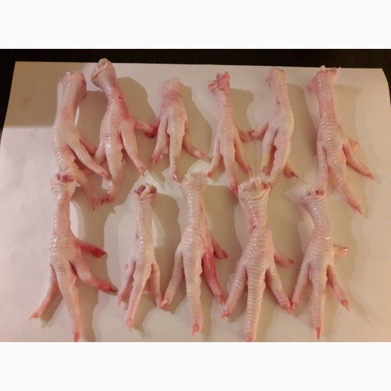 Фото 3. ООО « Амтек Трейд» предлагает на постоянной основе замороженную очищенную куриную лапу