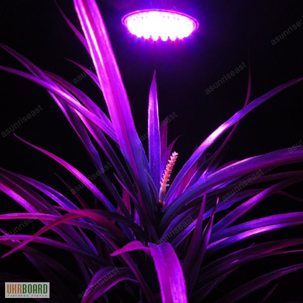 Фото 2. Энергосберегающая светодиодная лампа для растений 4,5W E27