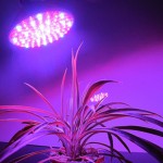 Энергосберегающая светодиодная лампа для растений 4,5W E27