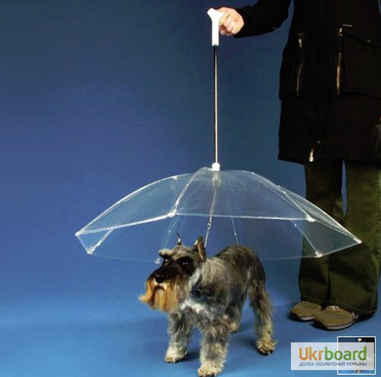 Фото 2. Зонт для собаки, защита от дождя, светящиеся ошейники, LED ошейники, Брелок «Антипотеря»