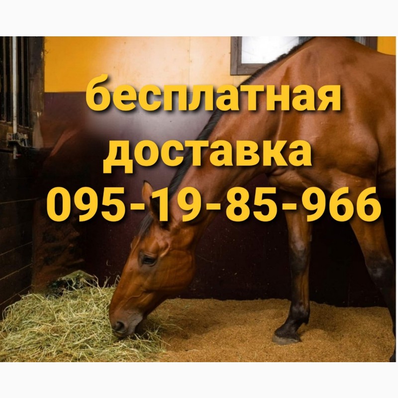 Фото 4. Сено, солома с бесплатной доставкой по Украине. Есть б.н расчёт. Большие объёмы