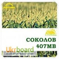 Продам семена кукурузы Соколов 407 МВ, ФАО-400