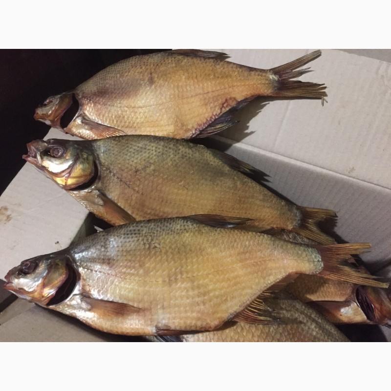 Фото 3. Продам рыбу свежемороженую. Мелкий, средний и крупный ОПТ