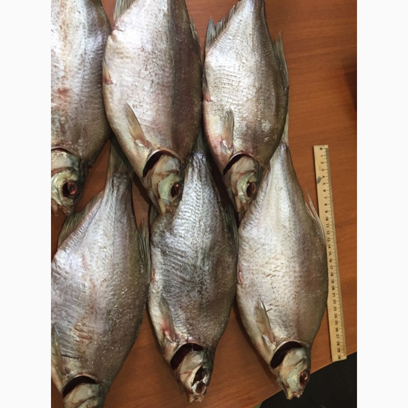Фото 4. Продам рыбу свежемороженую. Мелкий, средний и крупный ОПТ