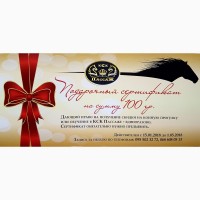 Подарочный сертификат на конную прогулку, урок верховой езды