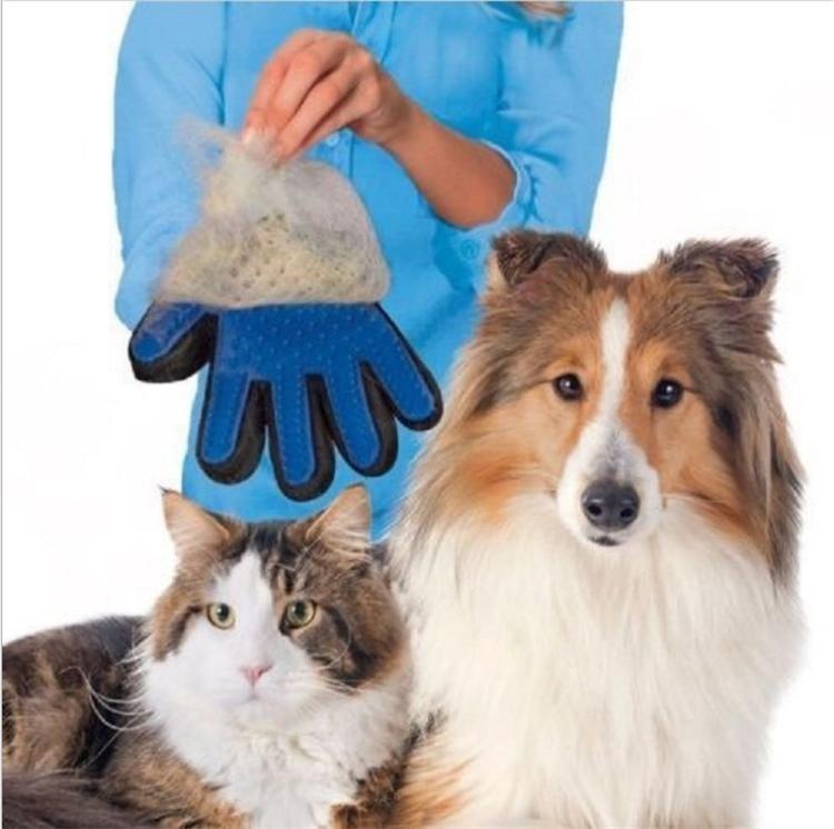 Фото 2. Уникальная массажная перчатка для животных