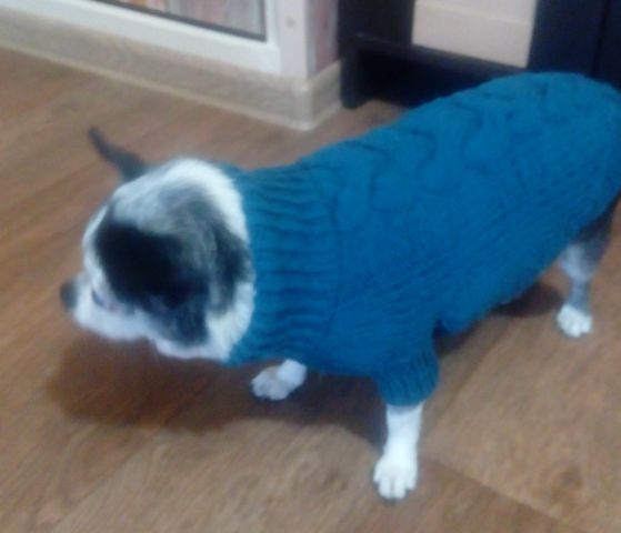 Фото 5. Вязаный свитер для маленькой собаки