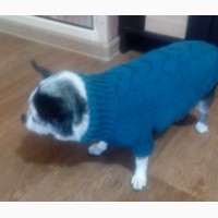 Вязаный свитер для маленькой собаки