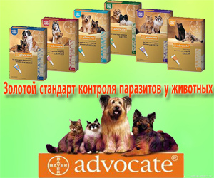Фото 2. Адвантикс капли от блох и клещей для собак - Advantix Bayer
