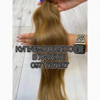 Купуємо волосся в Харкові, кращя ціна до 14500 за 100 гр, продати волосся в Харкові